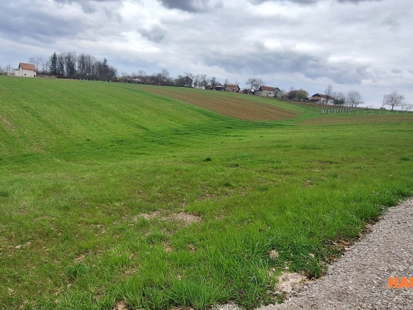 Zemljište pogodno za gradnju – 3000 m2 – Krčmarice
