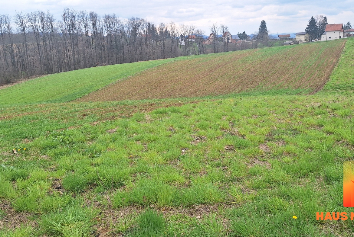 Zemljište pogodno za gradnju – 3000 m2 – Krčmarice